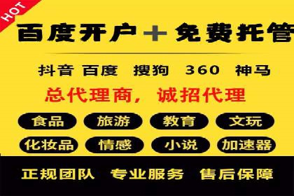 网络推广竞价策略案例分析
